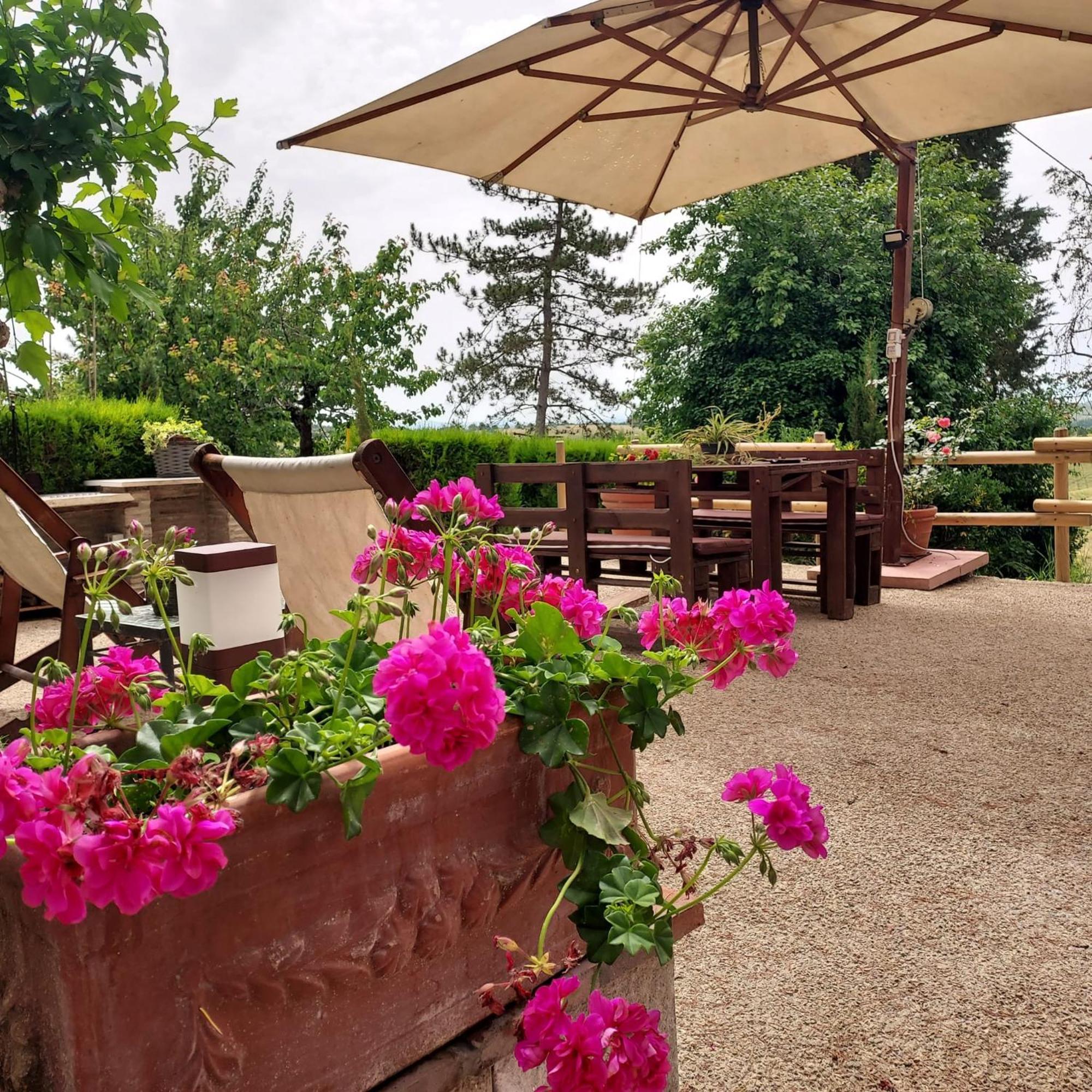 Agriturismo Il Colle Siena Exterior foto